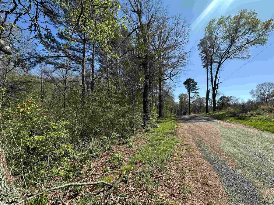 834 County Road 1225, Daingerfield, TX 75638 - #3