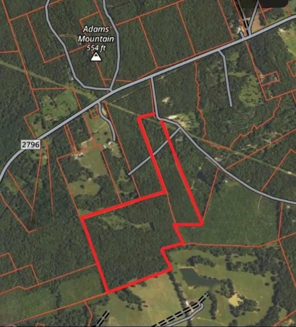 TBD Cactus Rd, Pittsburg, TX 75686 - #1