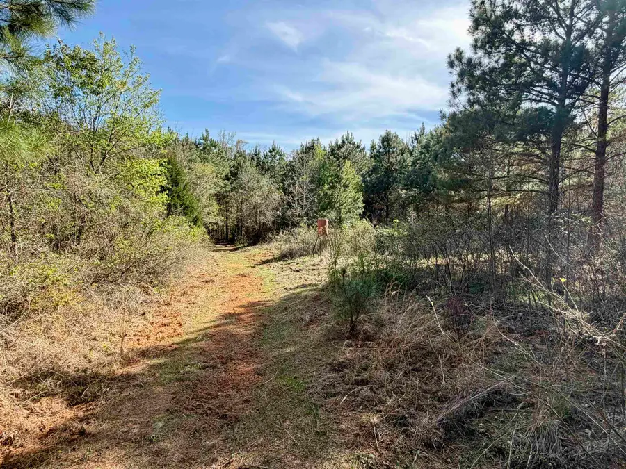 TBD Cactus Rd, Pittsburg, TX 75686 - #2