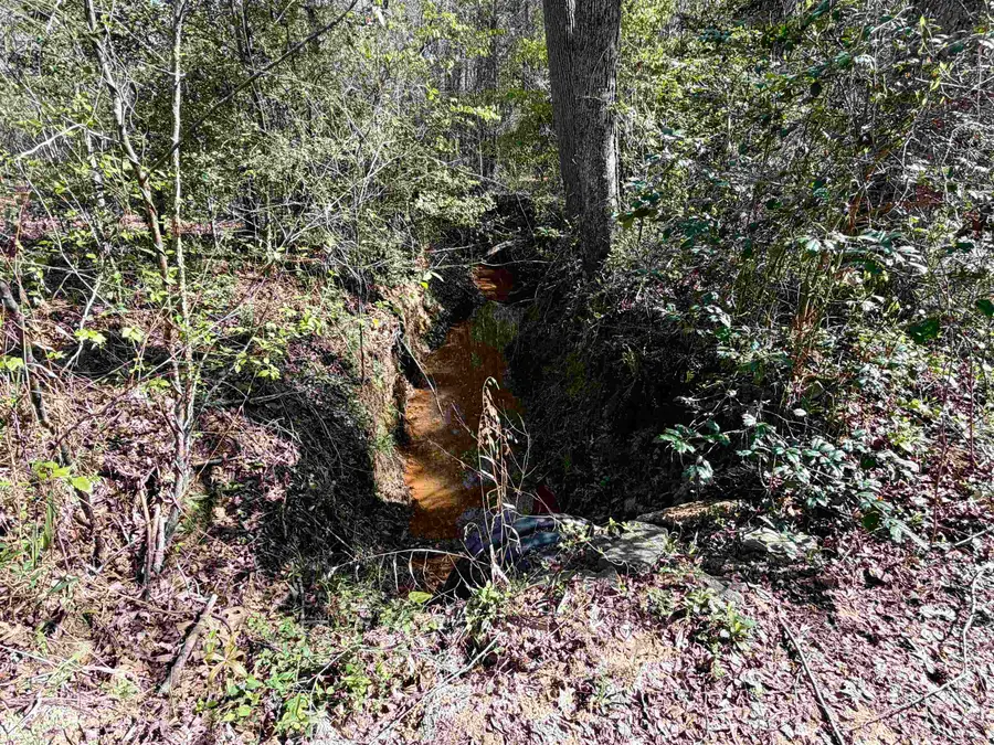 TBD Cactus Rd, Pittsburg, TX 75686 - #3