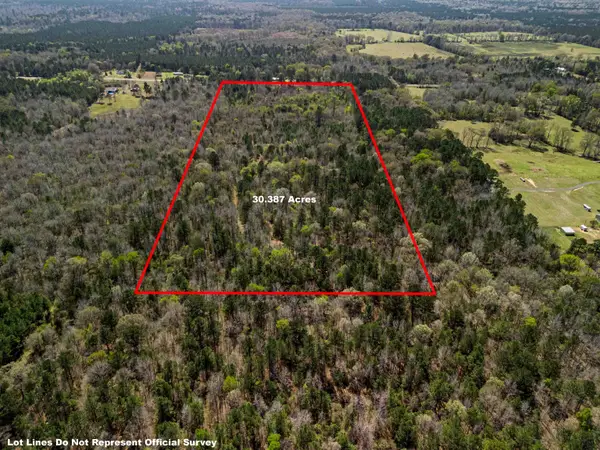 30 Ac TBD E Hwy 49, Jefferson, TX 75657