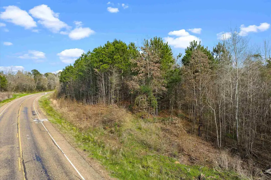 TBD Hwy 154, Diana, TX 75640 - #2