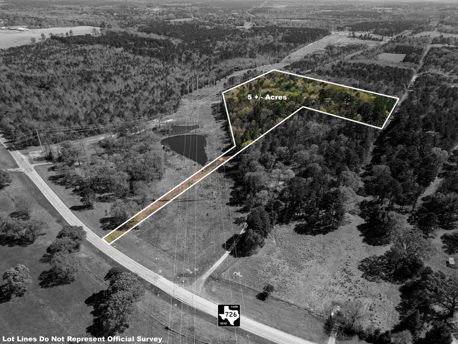 TBD FM 726, Diana, TX 75640 - #2