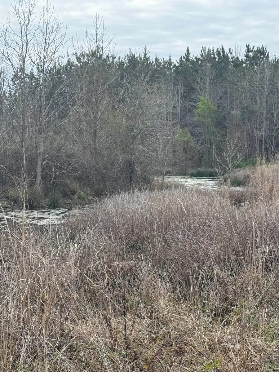 235 CR 3261, De Berry, TX 75639 - #3