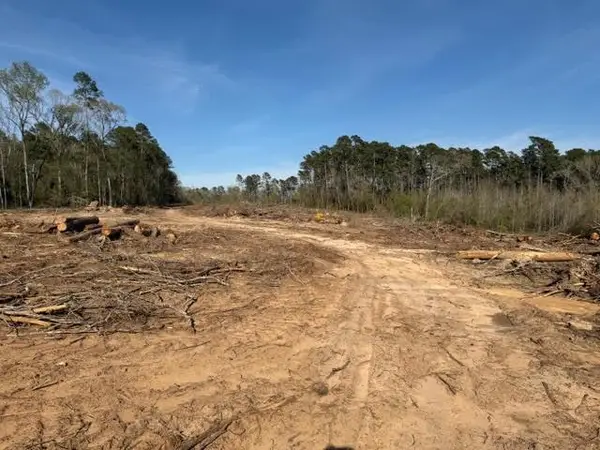 1955 County Road 201, Center, TX 75935