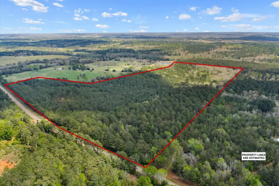 TBD FM 839, Laneville, TX 75667 - #3