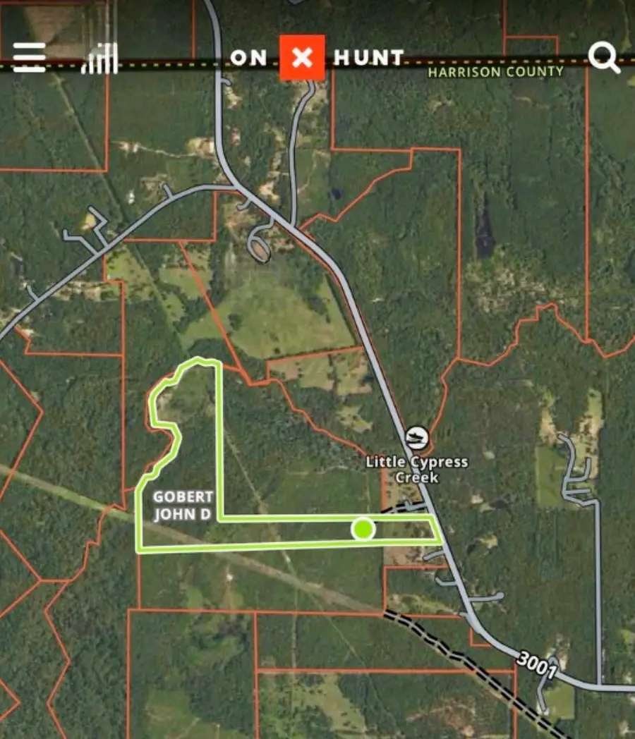 TBD FM 3001 W, Marshall, TX 75670 - #2