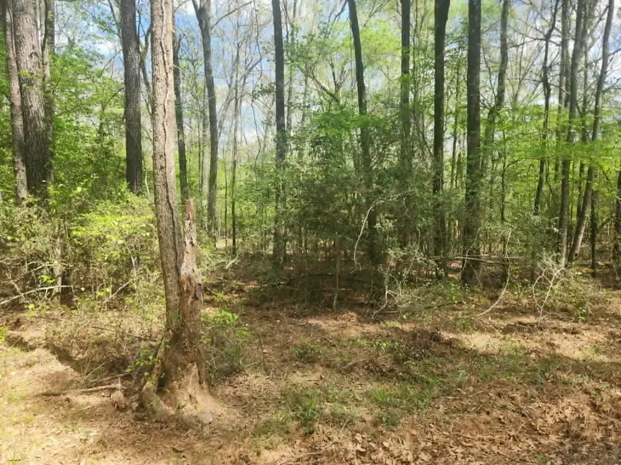 TBD Baker Bridge Road, Marshall, TX 75672 - #2