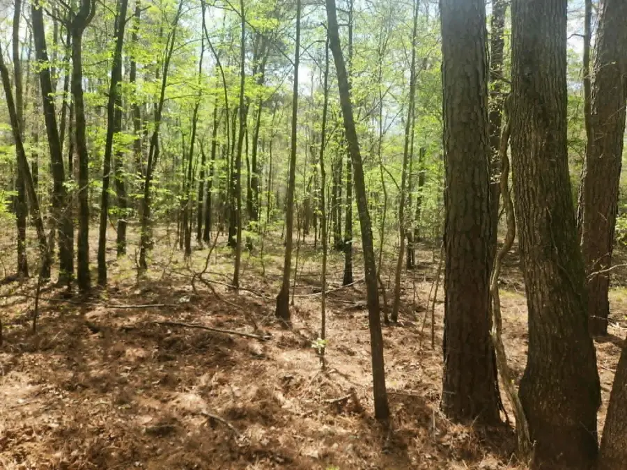 TBD Baker Bridge Road, Marshall, TX 75672 - #3