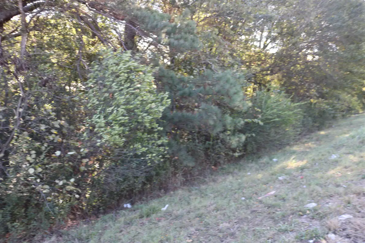 TBD E Webster Street, Jefferson, TX 75657 - #1