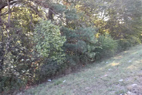 TBD E Webster Street, Jefferson, TX 75657