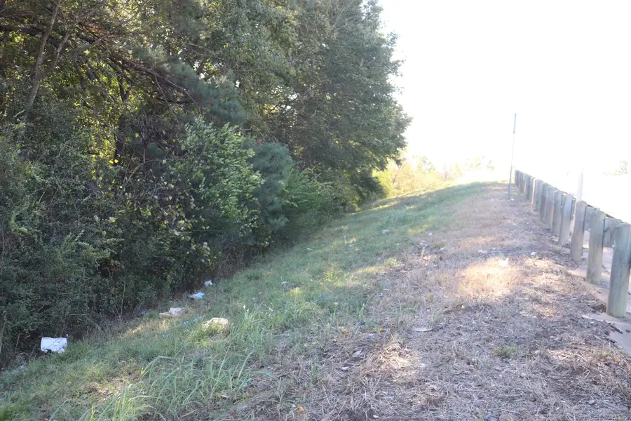 TBD E Webster Street, Jefferson, TX 75657 - #2