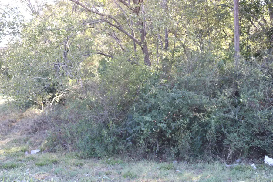 TBD E Webster Street, Jefferson, TX 75657 - #3