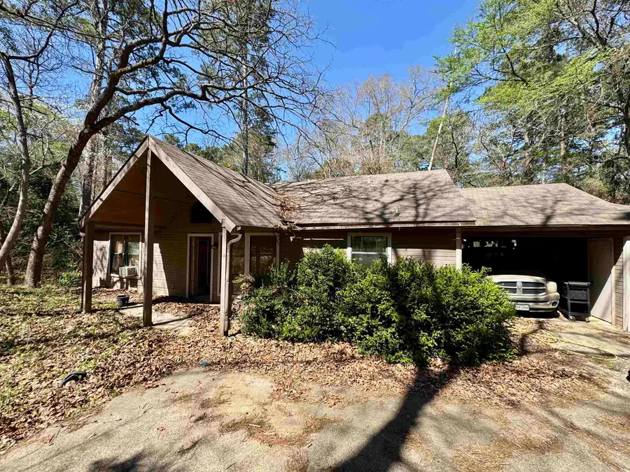 326 Blue Water Ln, Holly Lake Ranch, TX 75765 - #2