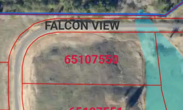 TBD Falcon View Dr., Diana, TX 75640