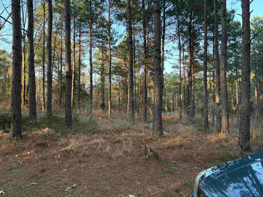 175 Mims Chapel Road, Avinger, TX 75630 - #2