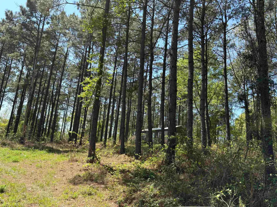 175 Mims Chapel Road, Avinger, TX 75630 - #3