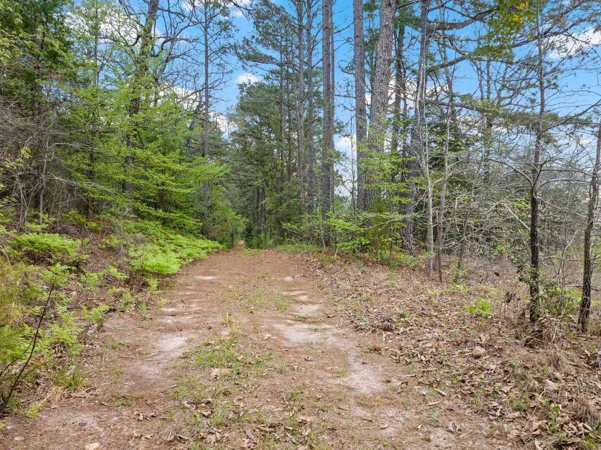 TBD COUNTY ROAD 2921, Hughes Springs, TX 75656 - #1