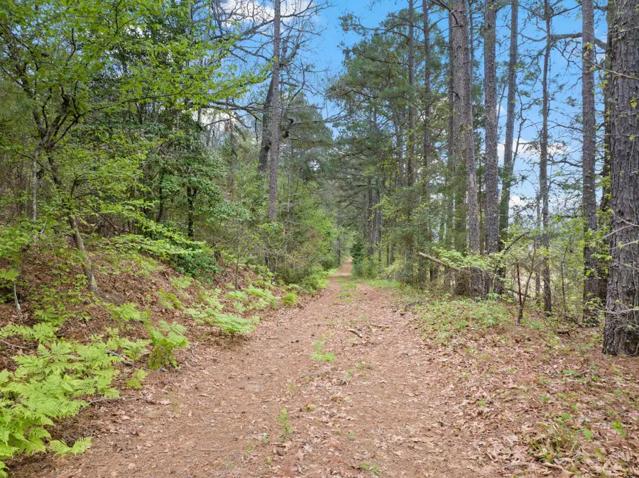 TBD COUNTY ROAD 2921, Hughes Springs, TX 75656 - #2