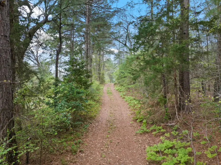 TBD COUNTY ROAD 2921, Hughes Springs, TX 75656 - #3