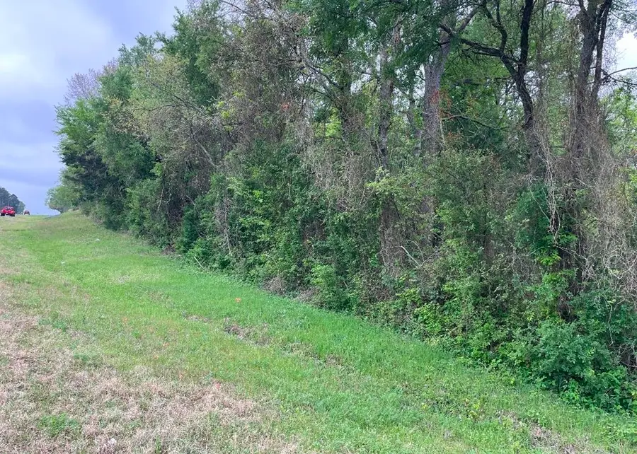 0 N State Hwy 19, Palestine, TX 75803 - #3