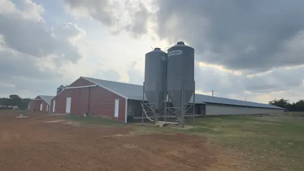 Address Withheld By Seller, Mount Pleasant, TX 75455