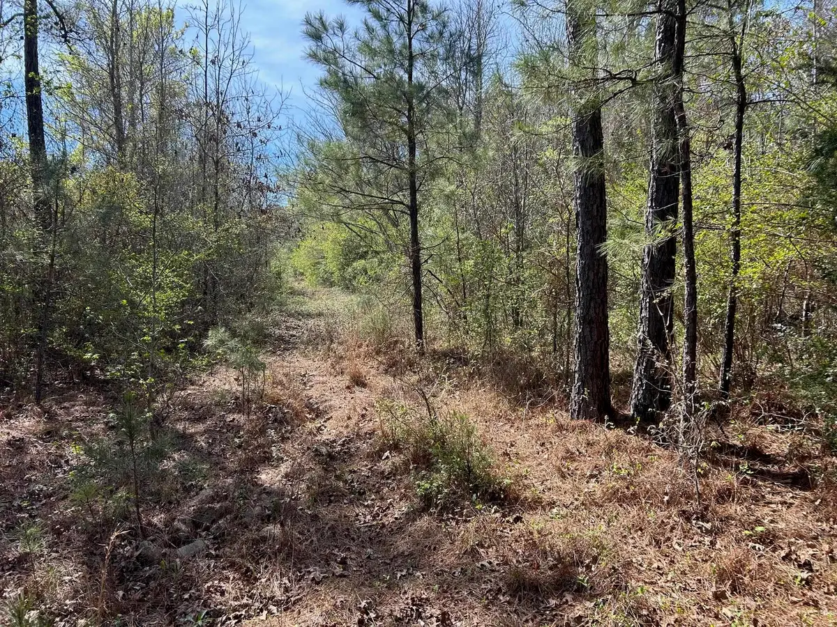 TBD Old Woodley Road, Marshall, TX 75672 - #1