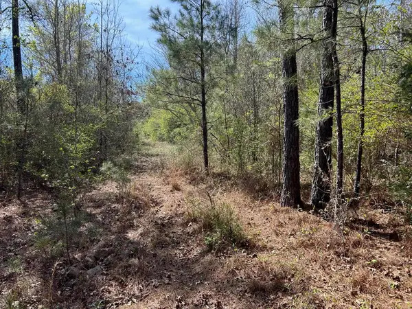 TBD Old Woodley Road, Marshall, TX 75672