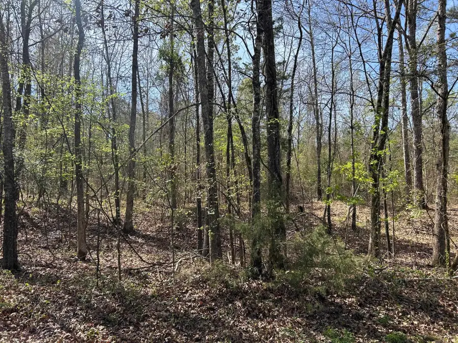 TBD Old Woodley Road, Marshall, TX 75672 - #2