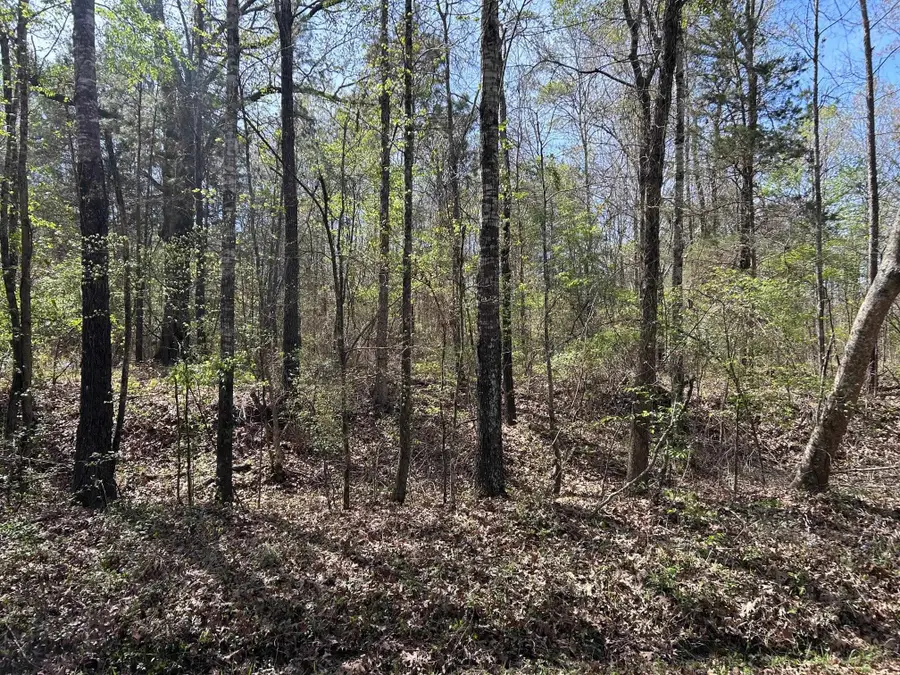 TBD Old Woodley Road, Marshall, TX 75672 - #3