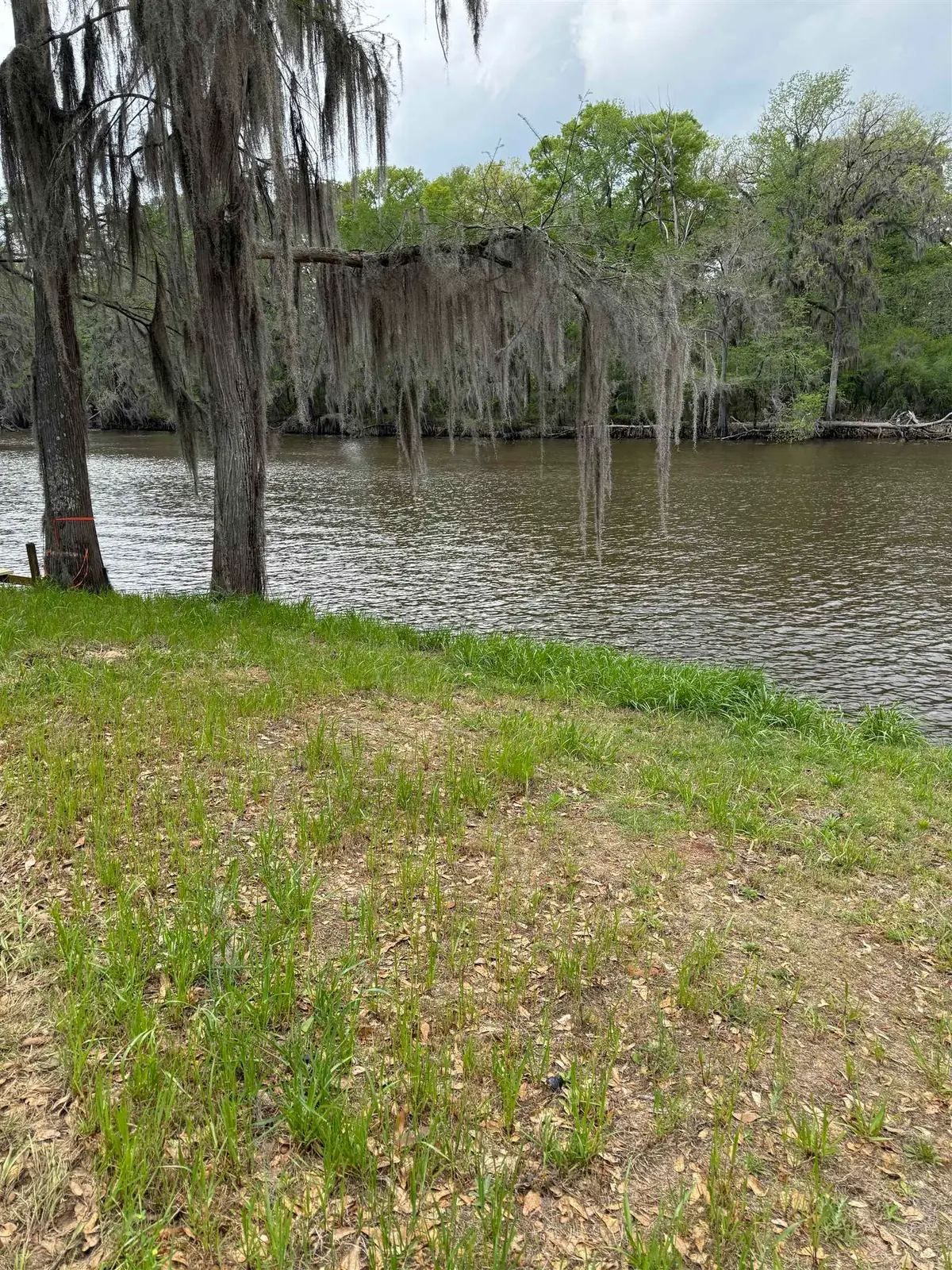 1869 Pine Island Rd, Karnack, TX 75661 - #1