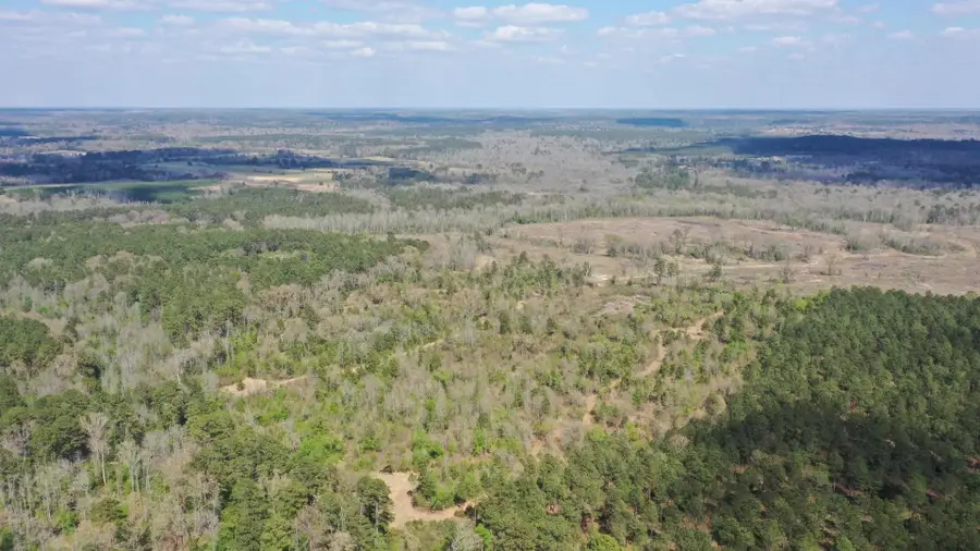 0001N County Road 1463, Hughes Springs, TX 75656 - #2