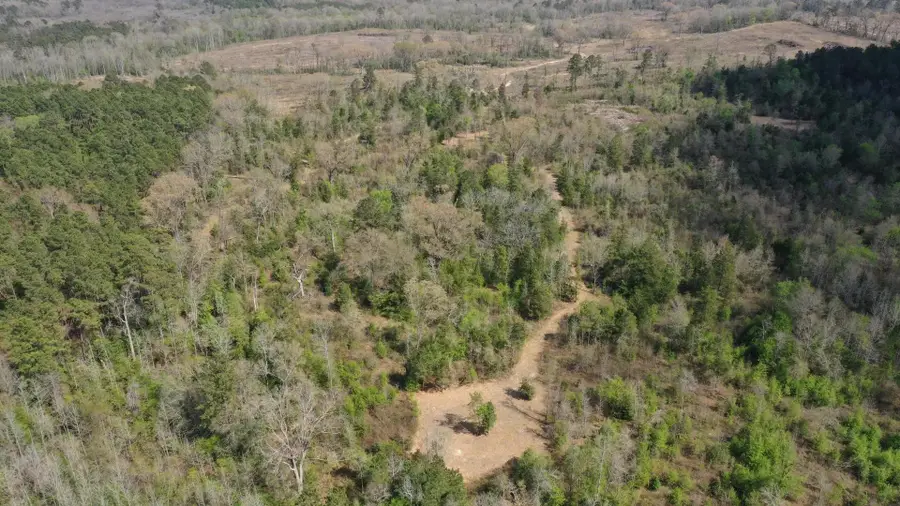 0001N County Road 1463, Hughes Springs, TX 75656 - #3