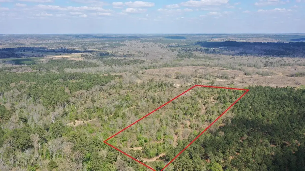 0002S County Road 1463, Hughes Springs, TX 75656 - #1