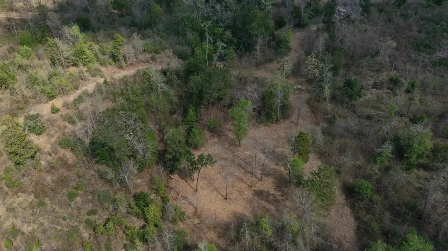 0002S County Road 1463, Hughes Springs, TX 75656 - #2