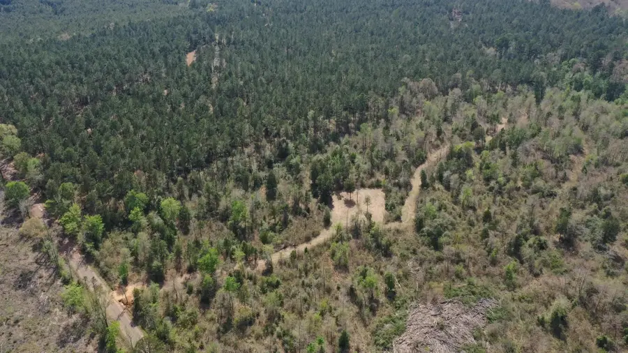 0002S County Road 1463, Hughes Springs, TX 75656 - #3