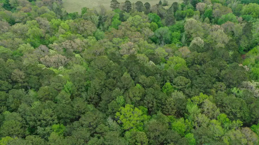 0001 CR 1628, Linden, TX 75563 - #3