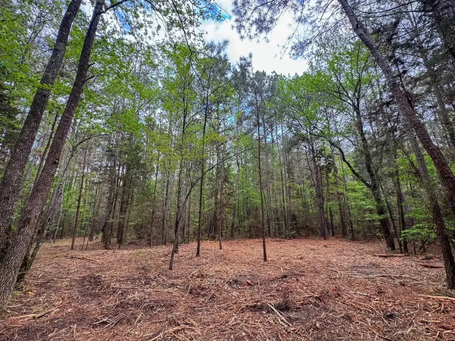 0002 CR 1628, Linden, TX 75563 - #2