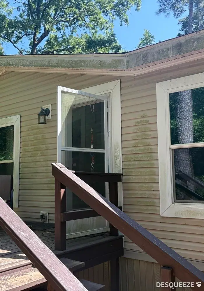 258 Quailcrest, Livingston, TX 77351 - #1