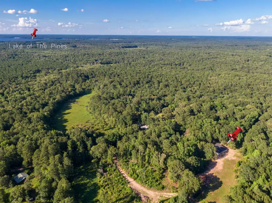 TBD Liberty Church Road, Harleton, TX 75651 - #3