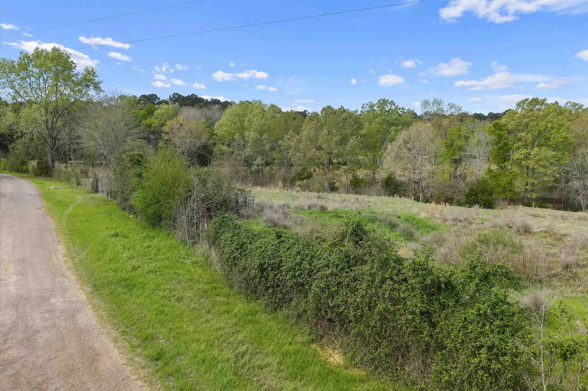 181 CR 3222, De Berry, TX 75639 - #1