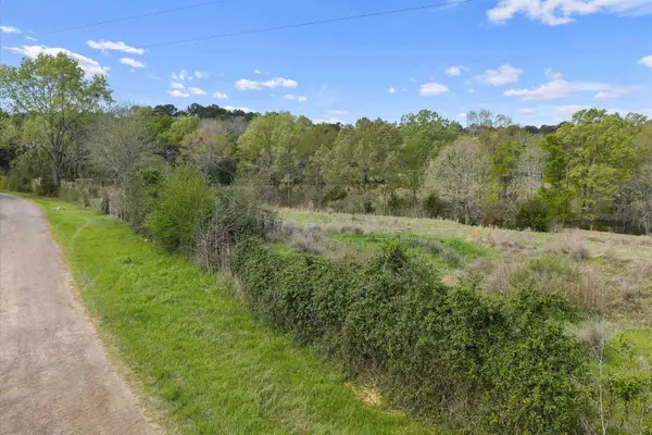 181 CR 3222, De Berry, TX 75639