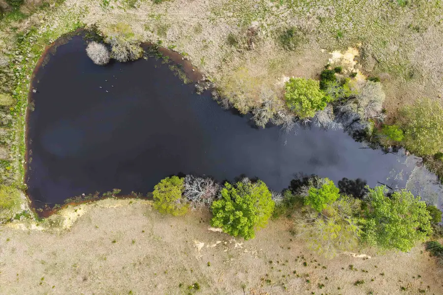 181 CR 3222, De Berry, TX 75639 - #2