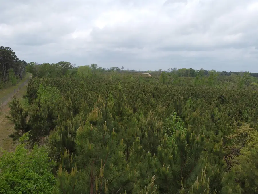 TBD Joy Wright Mount Rd, Kilgore, TX 75662 - #3