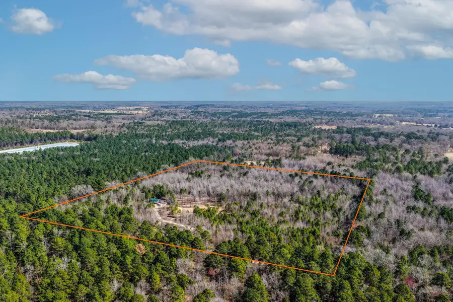 1462 Mole Road, Winnsboro, TX 75494 - #2