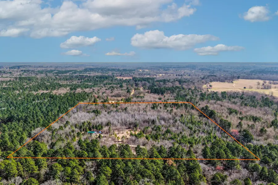 1462 Mole Road, Winnsboro, TX 75494 - #3