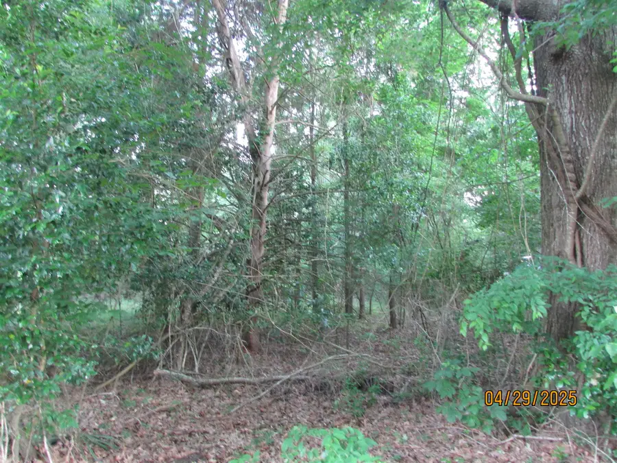 000 CR 4256, Henderson, TX 75654 - #3