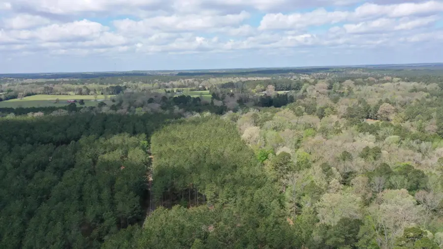 0 County Road 1926, Linden, TX 75563 - #2