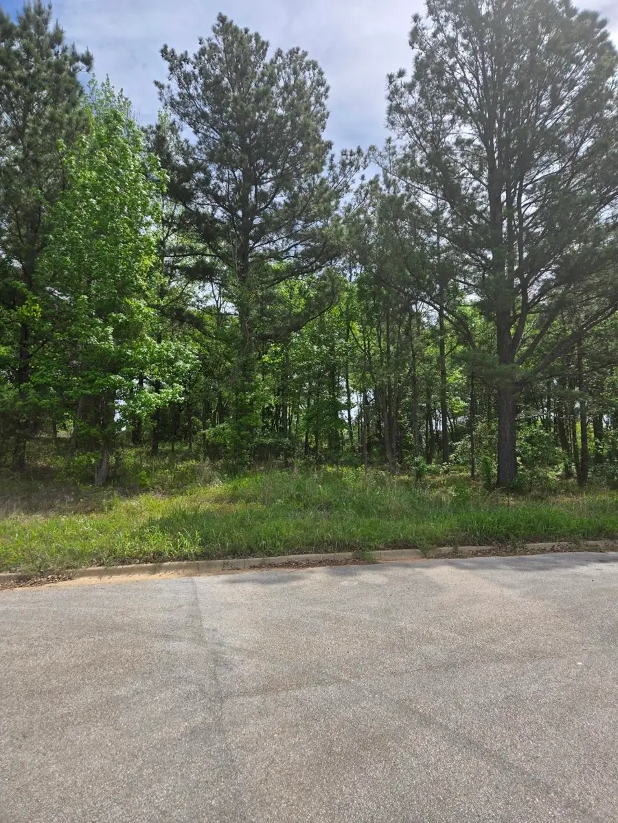 Lot 7 Kenswick Dr, Henderson, TX 75654 - #2