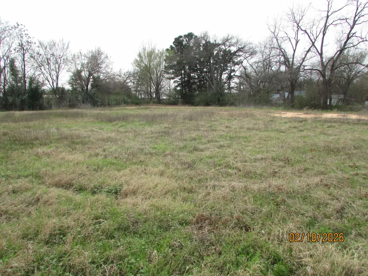 11224 CR 4355, Larue, TX 75770 - #1